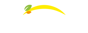 Bonduelle - Tilbage til homepage